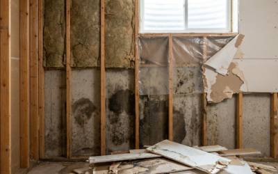 Why the Conventional Wisdom About Moisture-Proofing Could Wreck Your Custom Basement Finishing